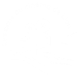 Les Amis du Cinéma de Lion